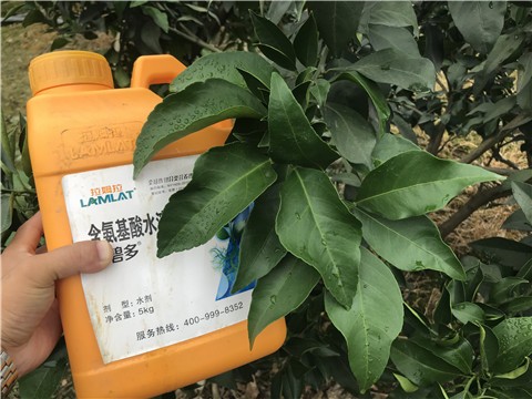 水溶肥该怎么选，什么样的好？