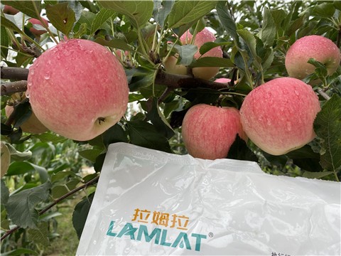 高钾水溶肥对作物的用途有哪些？