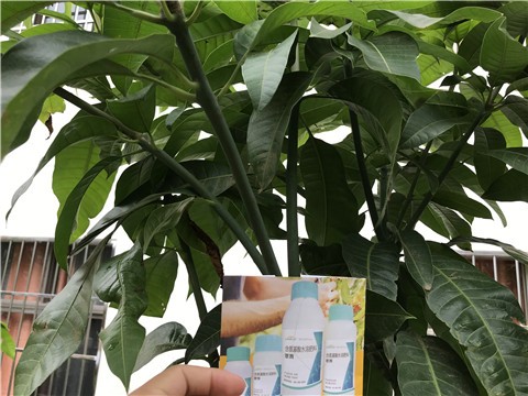 水溶肥的优势，你了解多少？