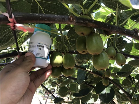 叶面肥有哪些优势