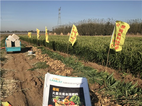 农资经销商如何正确选择好的水溶肥