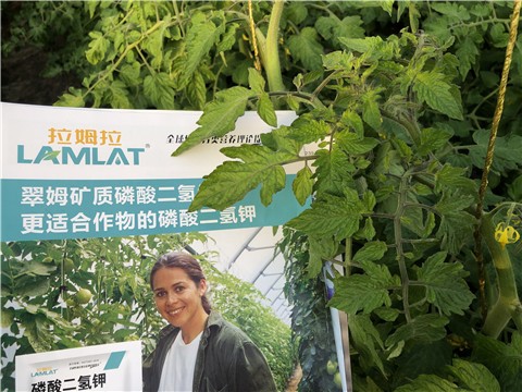 磷酸二氢钾厂家如何选择